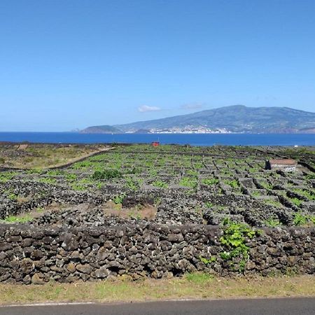 Villa Casa Da Ilha Madalena  Exterior foto